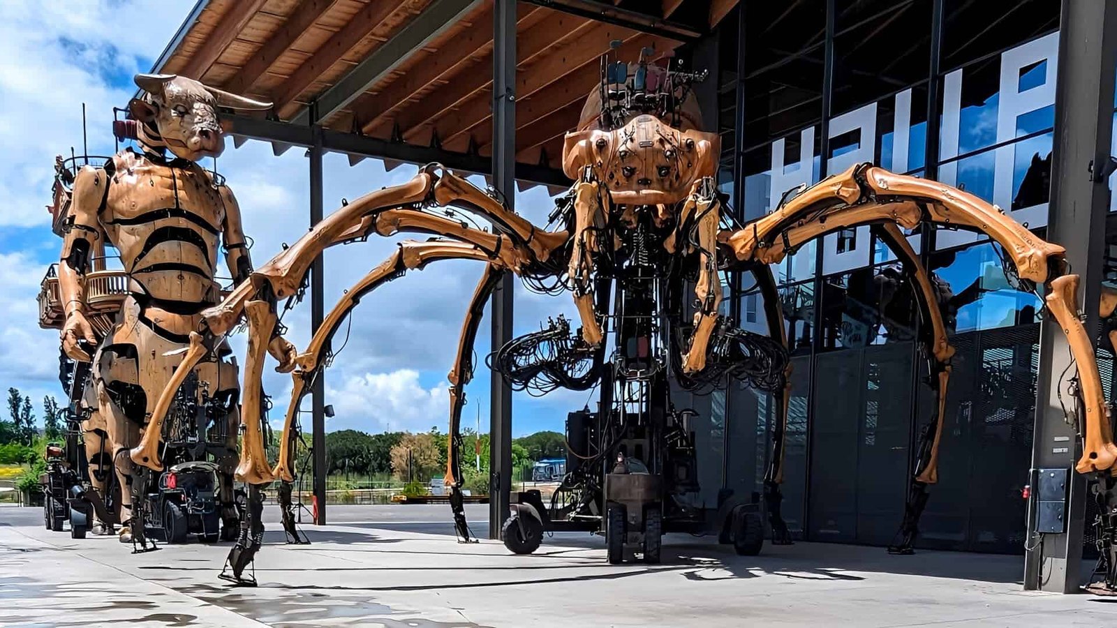 Toulouse Machine Museum: Your Guide to the Giant Mechanical